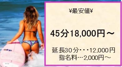 バニーコレクションの料金