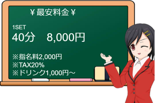 パーティースポットスパイの料金表