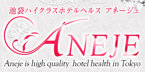 https://www.ik-aneje.biz/