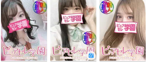 ピュアセレ学園の在籍一覧