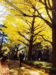 青山学院