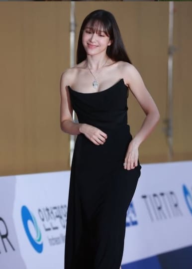 EXID 流出