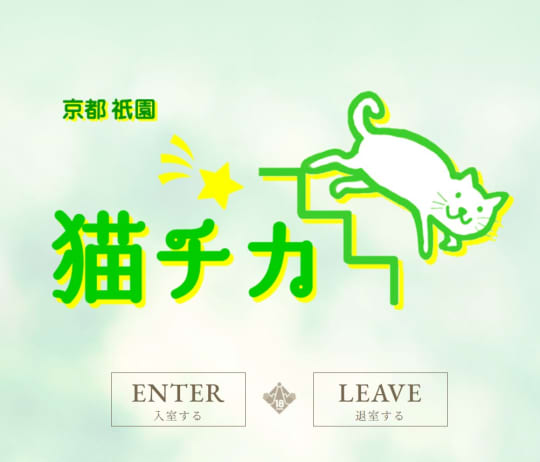 猫チカ