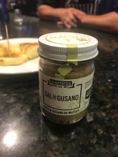 メキシコのSAL DE GUSANO