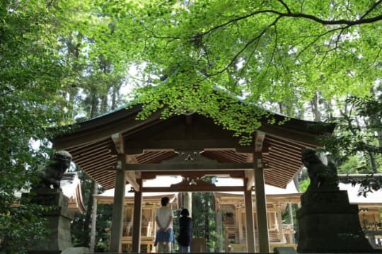 彌彦神社　摂社　入口