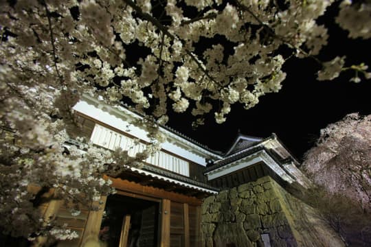 上田