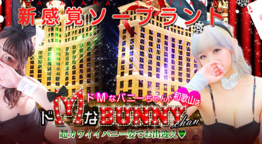 ドMなバニーちゃん和歌山店