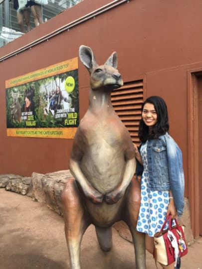 オーストラリア　カンガルー