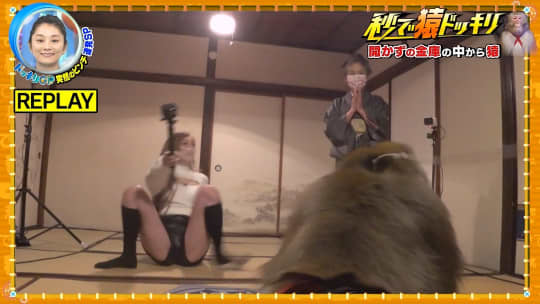 ゆうちゃみ エロ