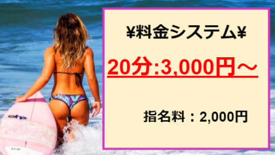 ブルーガールの料金表