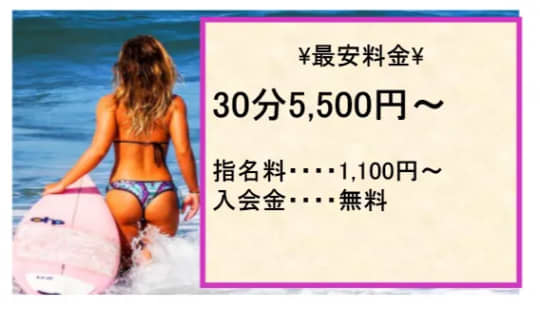 MAXの料金表