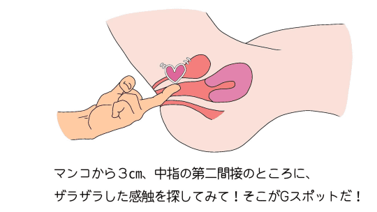 Gスポット　開発