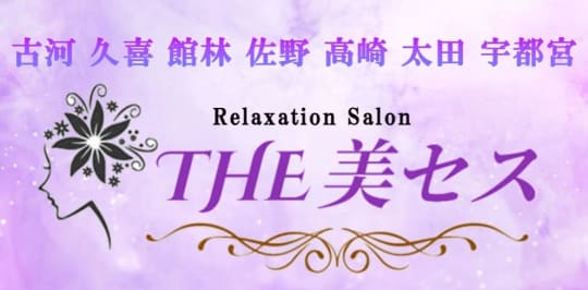 THE美セス