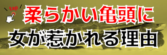 亀頭についての関連記事