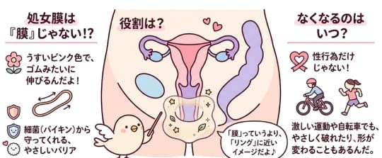 処女膜 オナニー