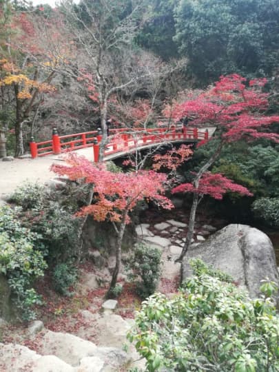 宮島紅葉橋