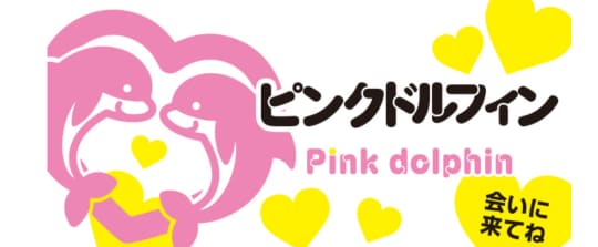 https://pink-dolphin.net/