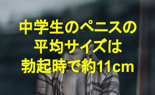 中学生のペニスの平均サイズは？