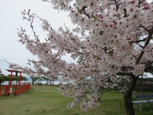 唐崎神社