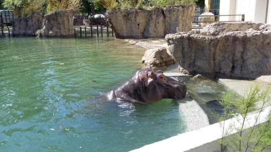 シェーンブルン動物園