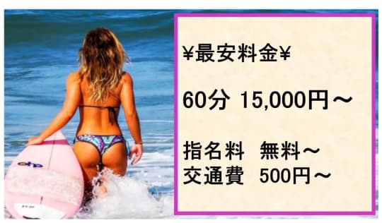 素敵な女の子は好きですか？の料金表