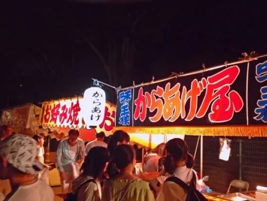 岡崎城下家康公夏まつり花火大会