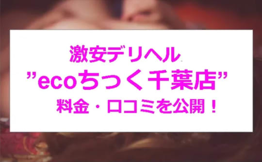 ecoちっく千葉店の紹介記事