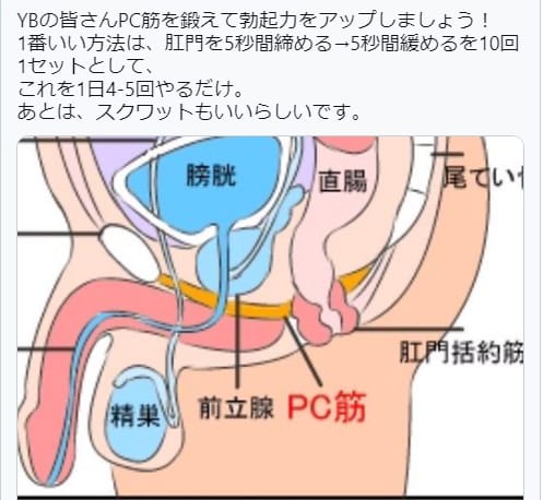 構造