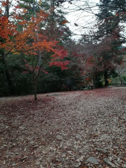 奥紅葉谷公園