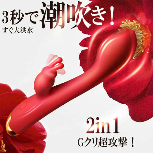 2点責めバイブ