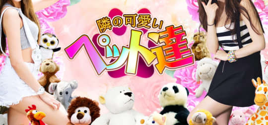 隣の可愛いペット達