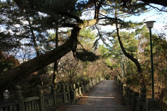 琴弾八幡宮　参道