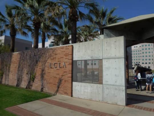 UCLA