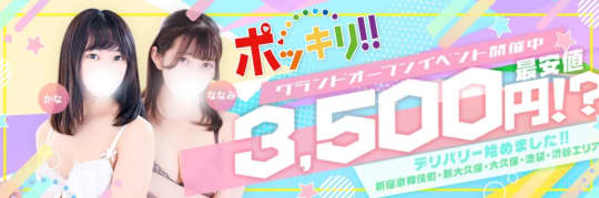 ポッキリ