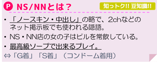NN/NSの説明
