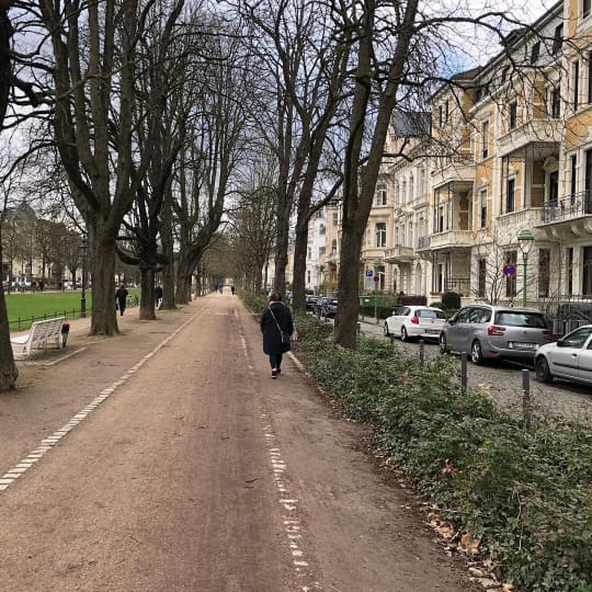 Poppelsdorfer Allee