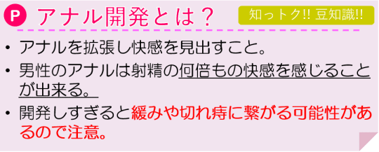 アナル開発とは