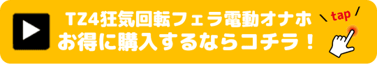 TZ4狂気回転フェラ電動オナホール