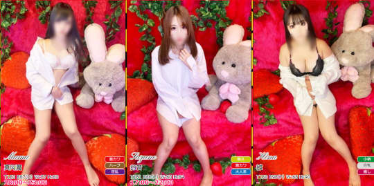 ストバニの在籍一覧