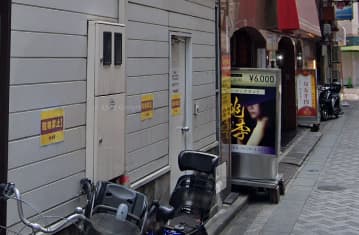 桃李店舗