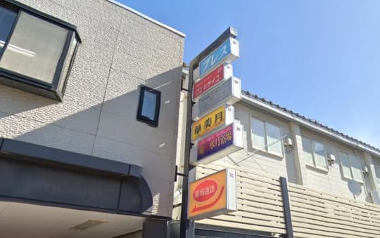 レディース