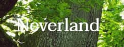 大人のNEVERLAND