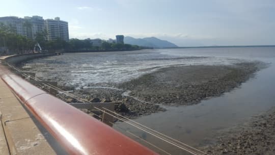 干潮しているケアンズ市内の海