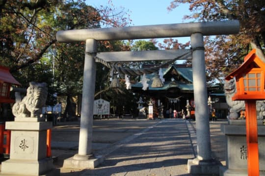 上野総社神社　鳥居