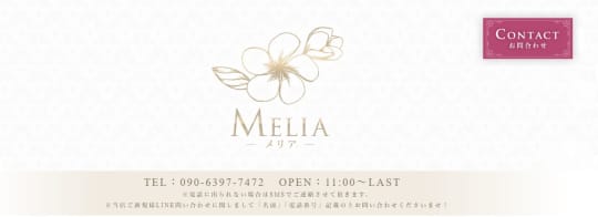 メリア金山のトップページ画像