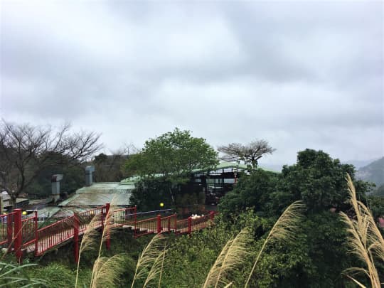 猫空頂上