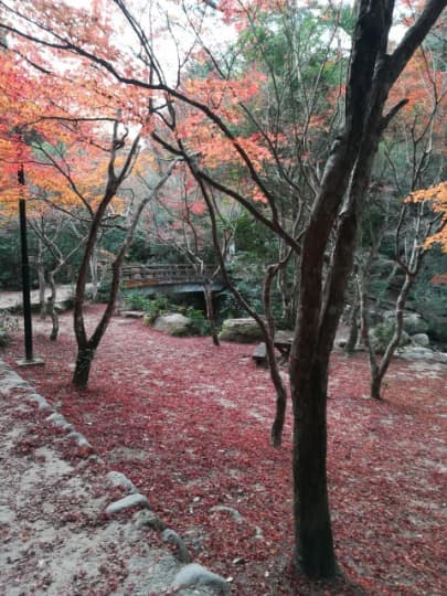 奥紅葉谷公園