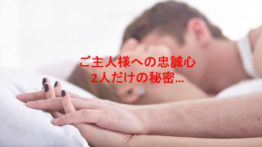 ご主人様と私だけの秘密