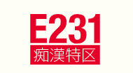 痴漢特区E231