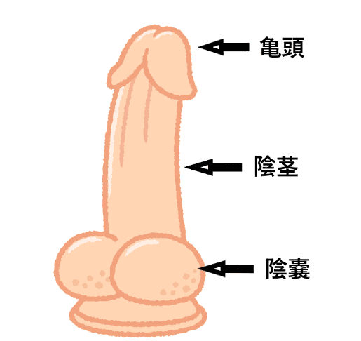 図解